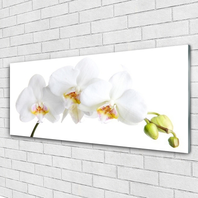 Plexiglas® Wall Art Flowers floral white