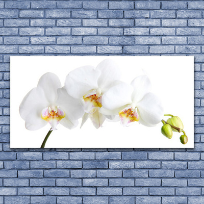 Plexiglas® Wall Art Flowers floral white