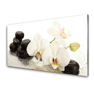 Plexiglas® Wall Art Flower stones floral white black