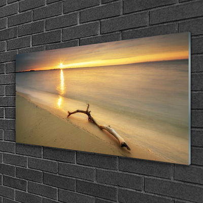 Plexiglas® Wall Art Ocean beach landscape brown blue yellow