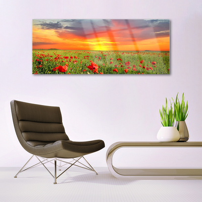 Plexiglas® Wall Art Poppies sun nature red green yellow grey