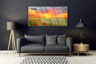 Plexiglas® Wall Art Poppies sun nature red green yellow grey