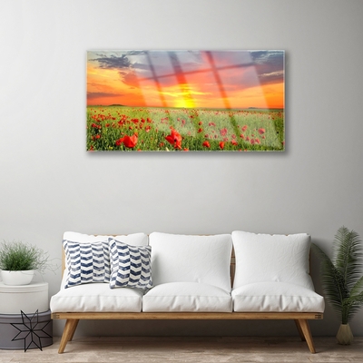 Plexiglas® Wall Art Poppies sun nature red green yellow grey