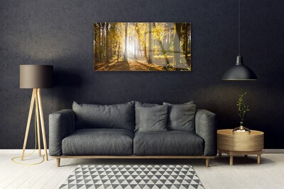 Plexiglas® Wall Art Forest nature brown green