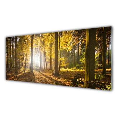 Plexiglas® Wall Art Forest nature brown green