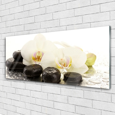 Plexiglas® Wall Art Flower stones art white black