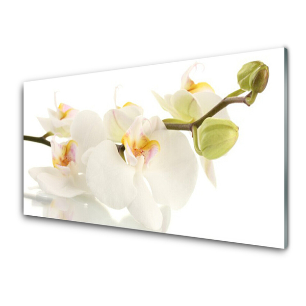 Plexiglas® Wall Art Flowers floral white