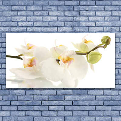 Plexiglas® Wall Art Flowers floral white