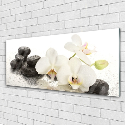 Plexiglas® Wall Art Flower stones floral white black