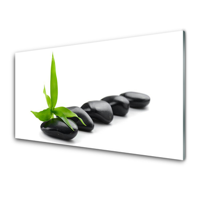 Plexiglas® Wall Art Stones leaves art black green