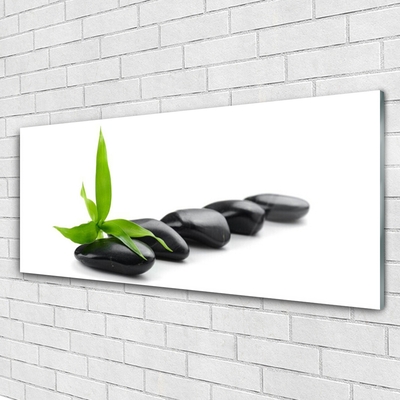 Plexiglas® Wall Art Stones leaves art black green