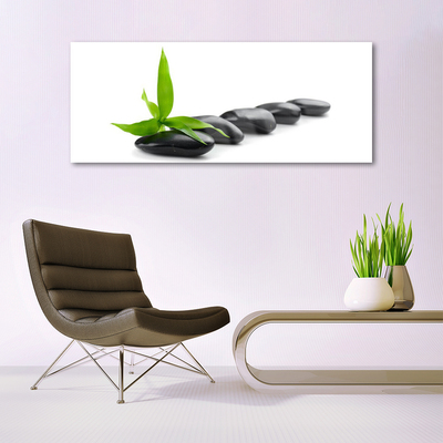 Plexiglas® Wall Art Stones leaves art black green