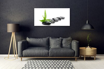 Plexiglas® Wall Art Stones leaves art black green