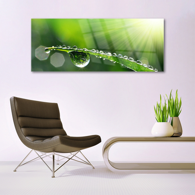 Plexiglas® Wall Art Grass dew drops floral green