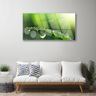 Plexiglas® Wall Art Grass dew drops floral green