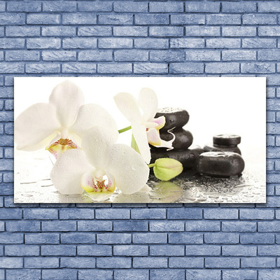 Plexiglas® Wall Art Flower stones floral white black