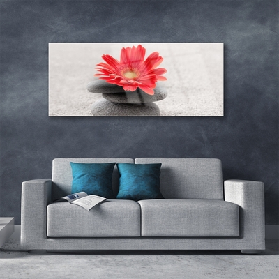 Plexiglas® Wall Art Flower stones art orange grey