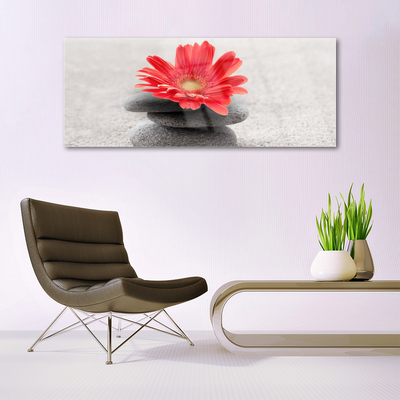 Plexiglas® Wall Art Flower stones art orange grey