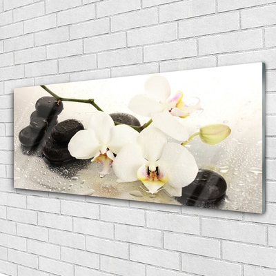 Plexiglas® Wall Art Flower stones art white black