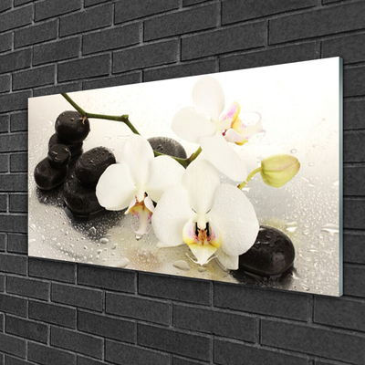 Plexiglas® Wall Art Flower stones art white black