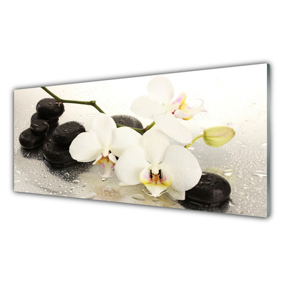 Plexiglas® Wall Art Flower stones art white black