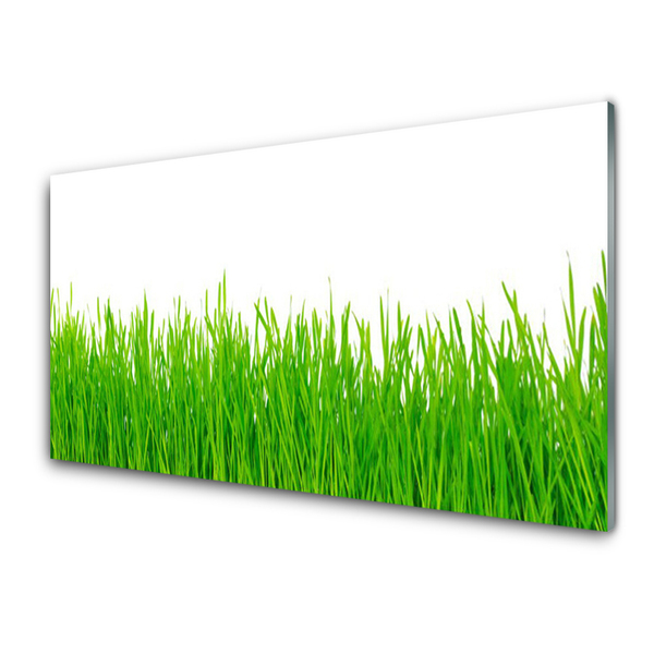 Plexiglas® Wall Art Weed nature green