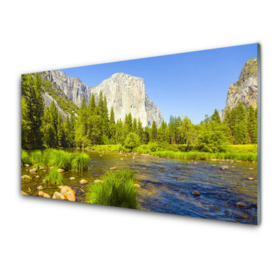 Plexiglas® Wall Art Lake mountain forest nature blue green grey