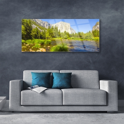 Plexiglas® Wall Art Lake mountain forest nature blue green grey