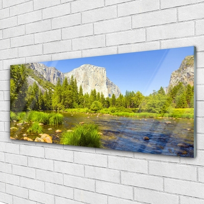 Plexiglas® Wall Art Lake mountain forest nature blue green grey