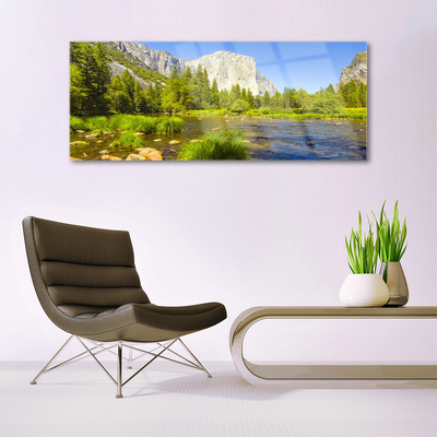 Plexiglas® Wall Art Lake mountain forest nature blue green grey