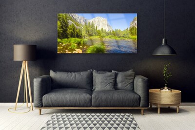 Plexiglas® Wall Art Lake mountain forest nature blue green grey