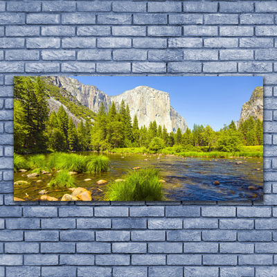 Plexiglas® Wall Art Lake mountain forest nature blue green grey