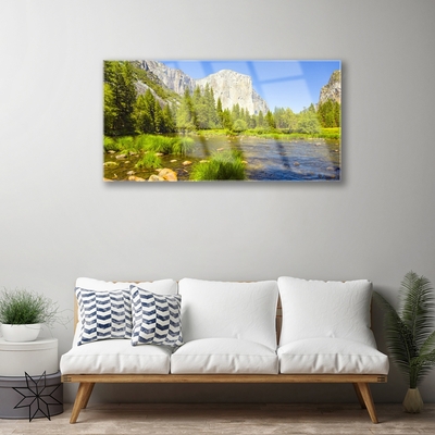 Plexiglas® Wall Art Lake mountain forest nature blue green grey