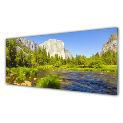 Plexiglas® Wall Art Lake mountain forest nature blue green grey