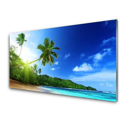 Plexiglas® Wall Art Beach sea palm trees landscape brown green blue