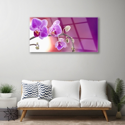 Plexiglas® Wall Art Flowers floral pink