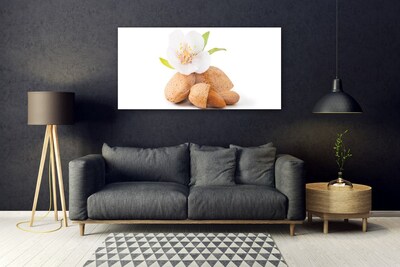 Plexiglas® Wall Art Flower pistachios floral white brown