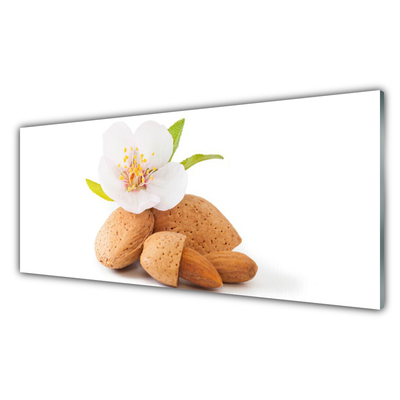 Plexiglas® Wall Art Flower pistachios floral white brown