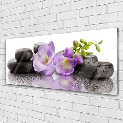 Plexiglas® Wall Art Flower stones art pink black