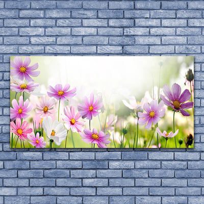 Plexiglas® Wall Art Flowers floral pink