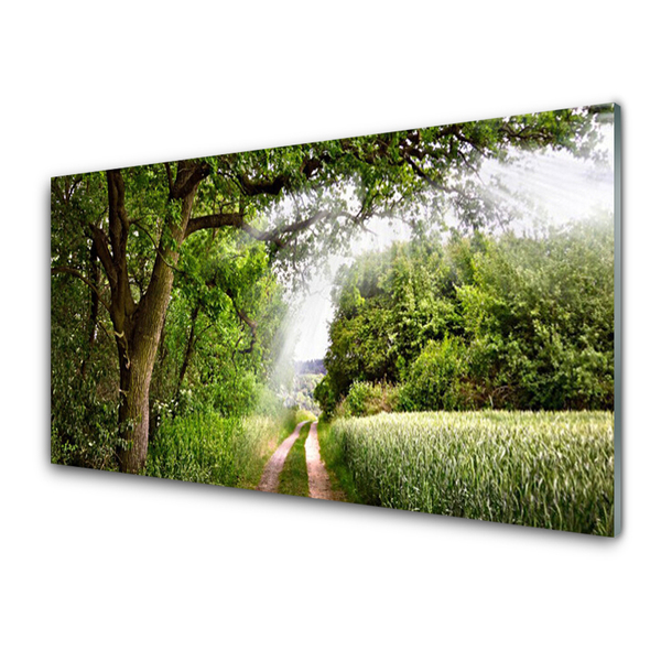 Plexiglas® Wall Art Trees footpath nature brown green