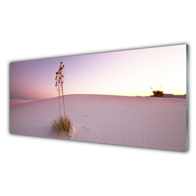 Plexiglas® Wall Art Desert landscape brown