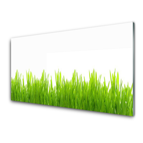 Plexiglas® Wall Art Weed nature green