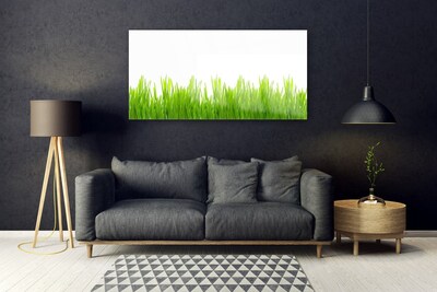 Plexiglas® Wall Art Weed nature green