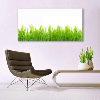 Plexiglas® Wall Art Weed nature green