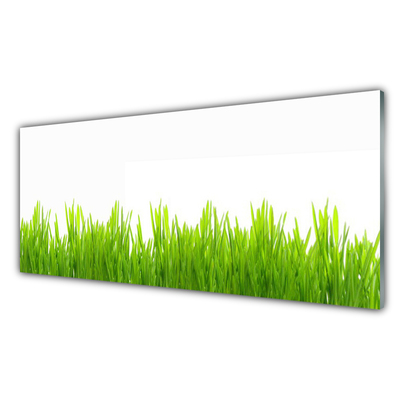 Plexiglas® Wall Art Weed nature green