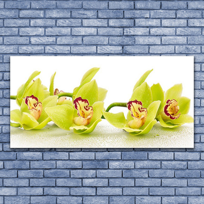 Plexiglas® Wall Art Flowers floral green