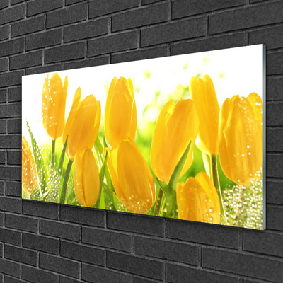 Plexiglas® Wall Art Tulips floral yellow green