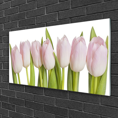 Plexiglas® Wall Art Tulips floral pink green