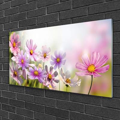 Plexiglas® Wall Art Flowers floral pink green